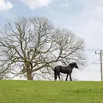 بيت للعطل Jenny's Barn - Sleeping 9, Dog Friendly Staveley (Yorkshire)