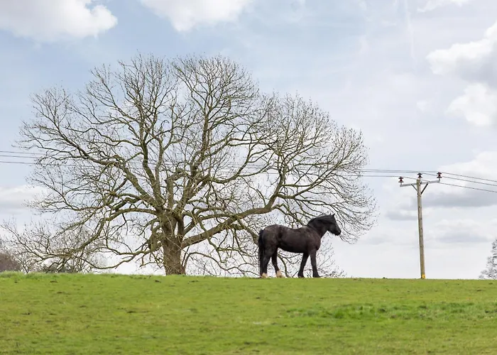 בית נופש Jenny's Barn - Sleeping 9, Dog Friendly Staveley (Yorkshire)